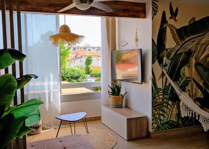 - Voile - Canet-en-Roussillon